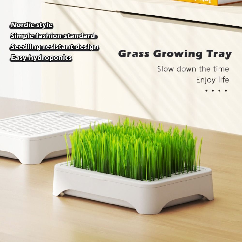 Hydroponic Grow Pod - Plastic Hydroponic Seeding Tray Self-planted Reusable