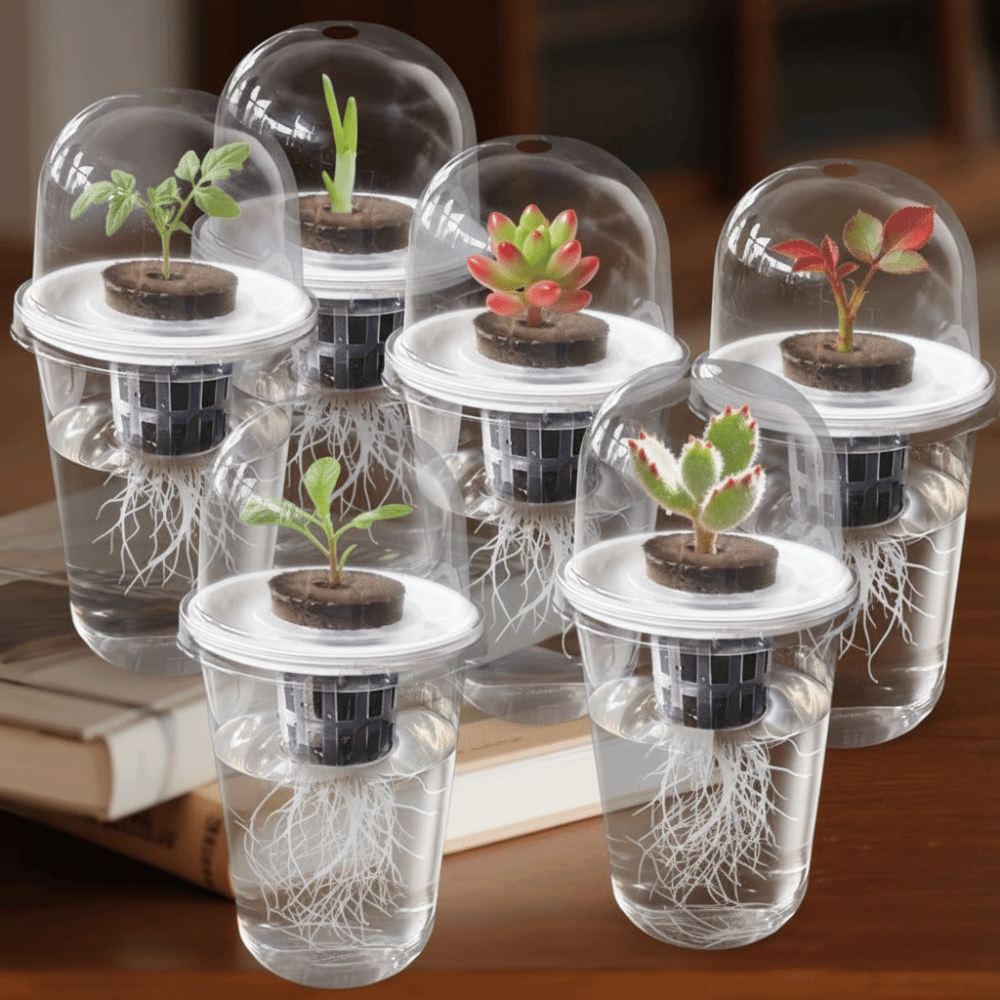 Hydroponic Grow Pod - 1-5pc Visible Clear Plants Germination Cup