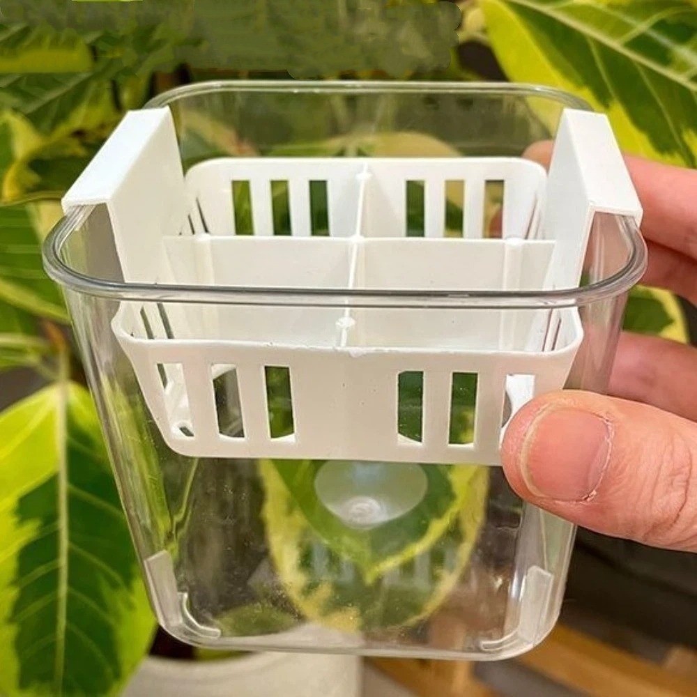 4 Grids Hydroponics Nursery Po - Hydroponic Grow Pod review and price