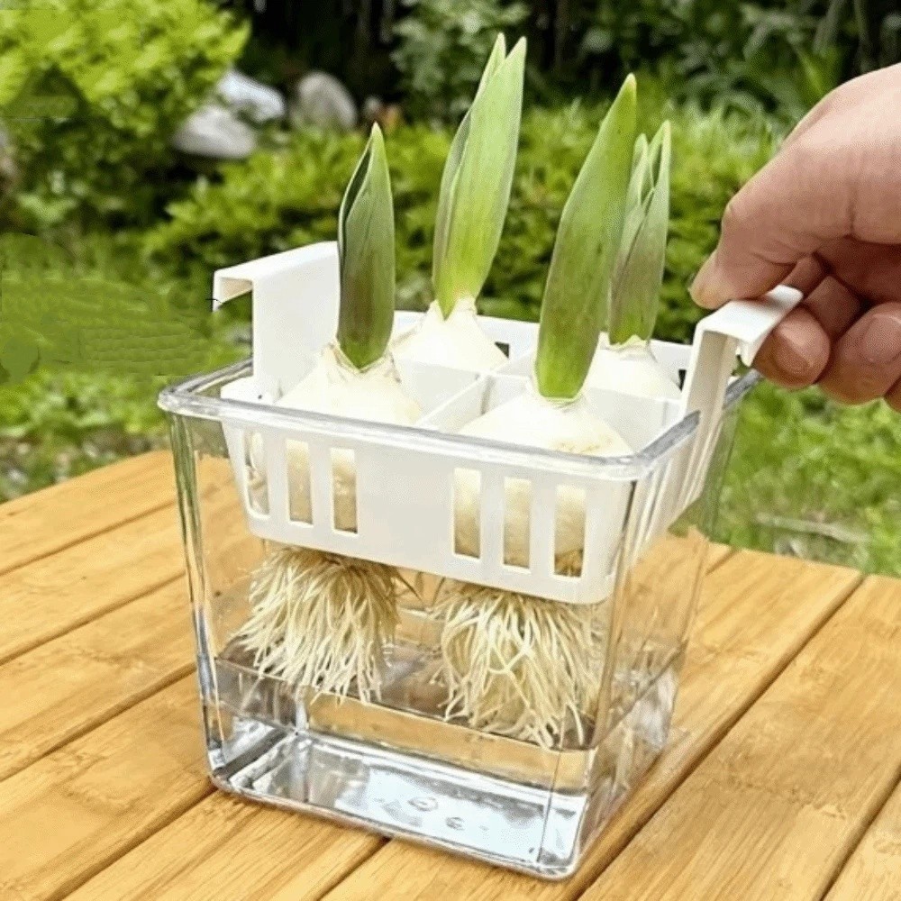 4 Grids Hydroponics Nursery Po - Hydroponic Grow Pod review and price