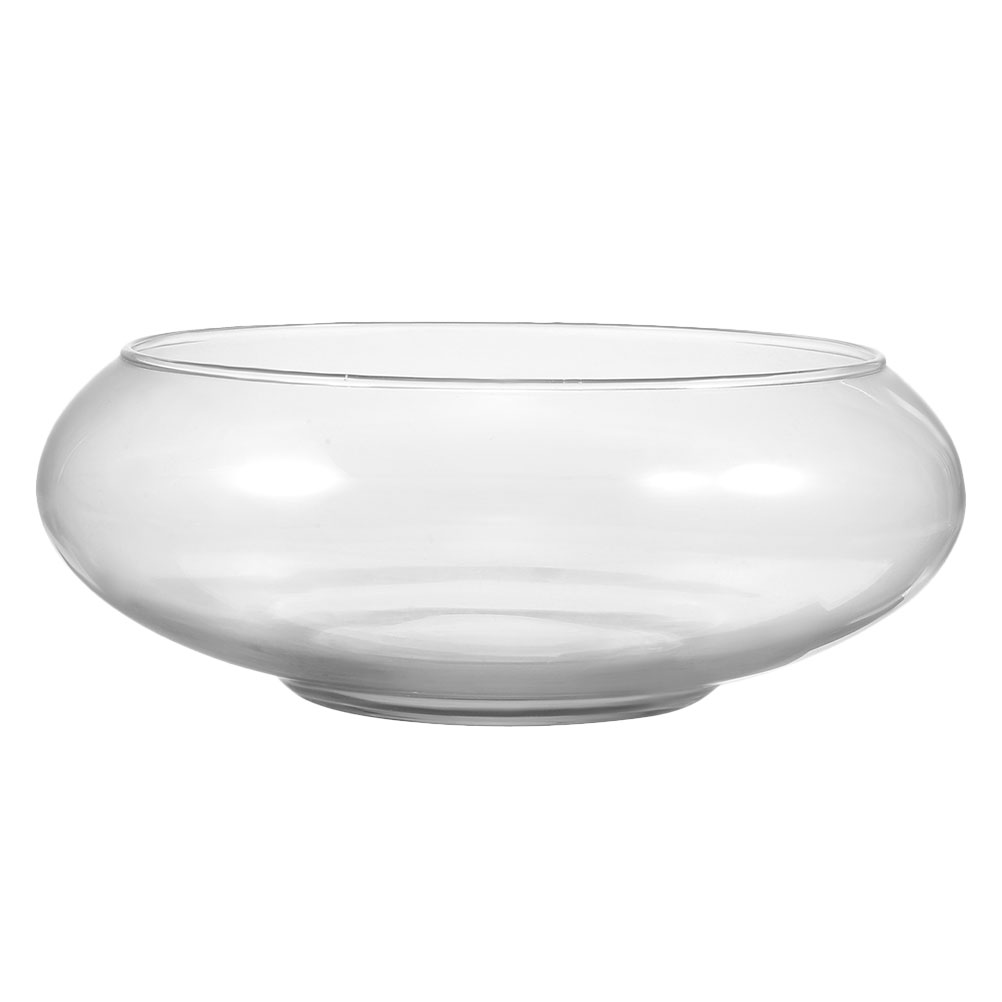 Wide Mouth Glass Vase Narcissu - Hydroponic Grow Pod review and price