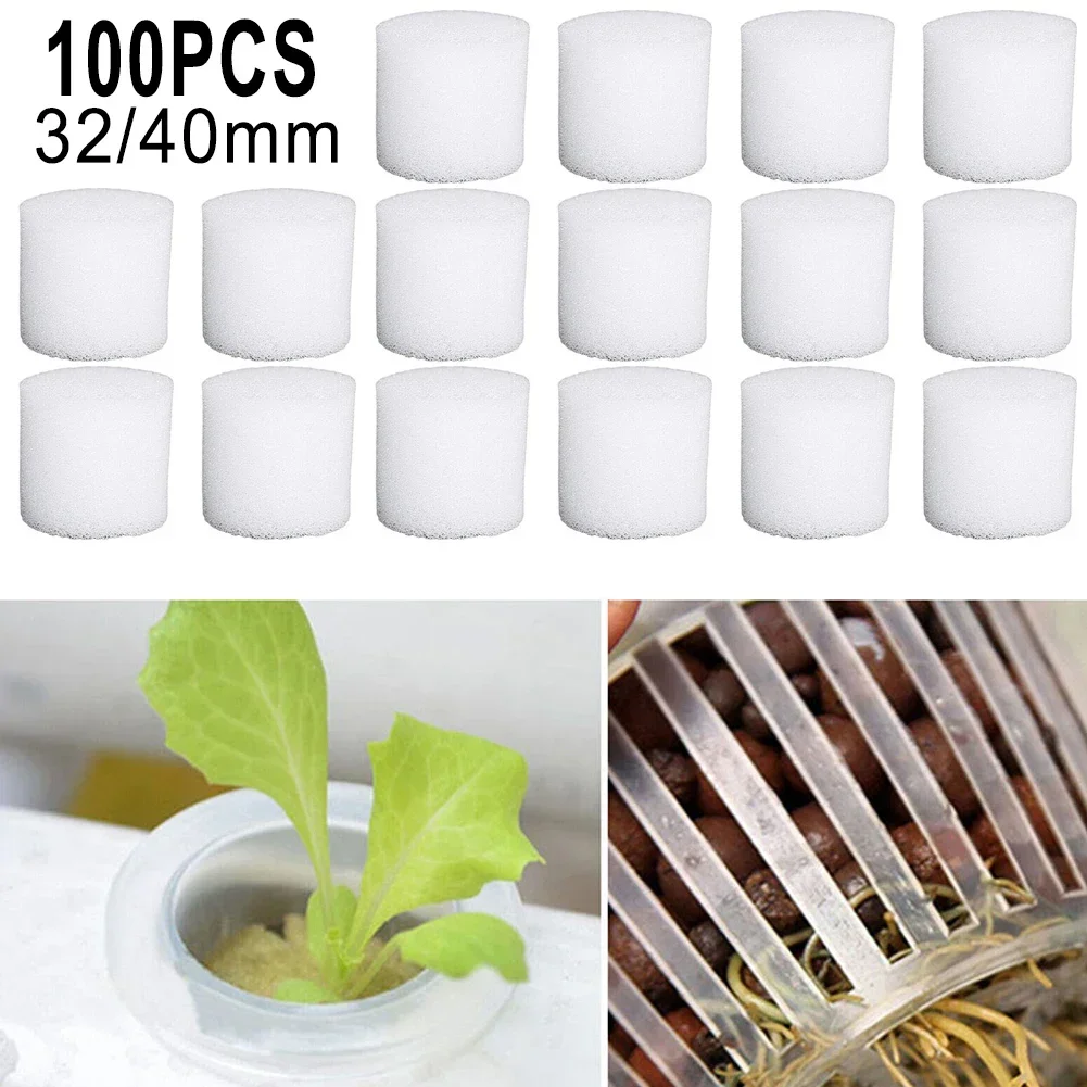 100PCS Soilless Hydroponic Spo - Hydroponic Grow Pod review and price
