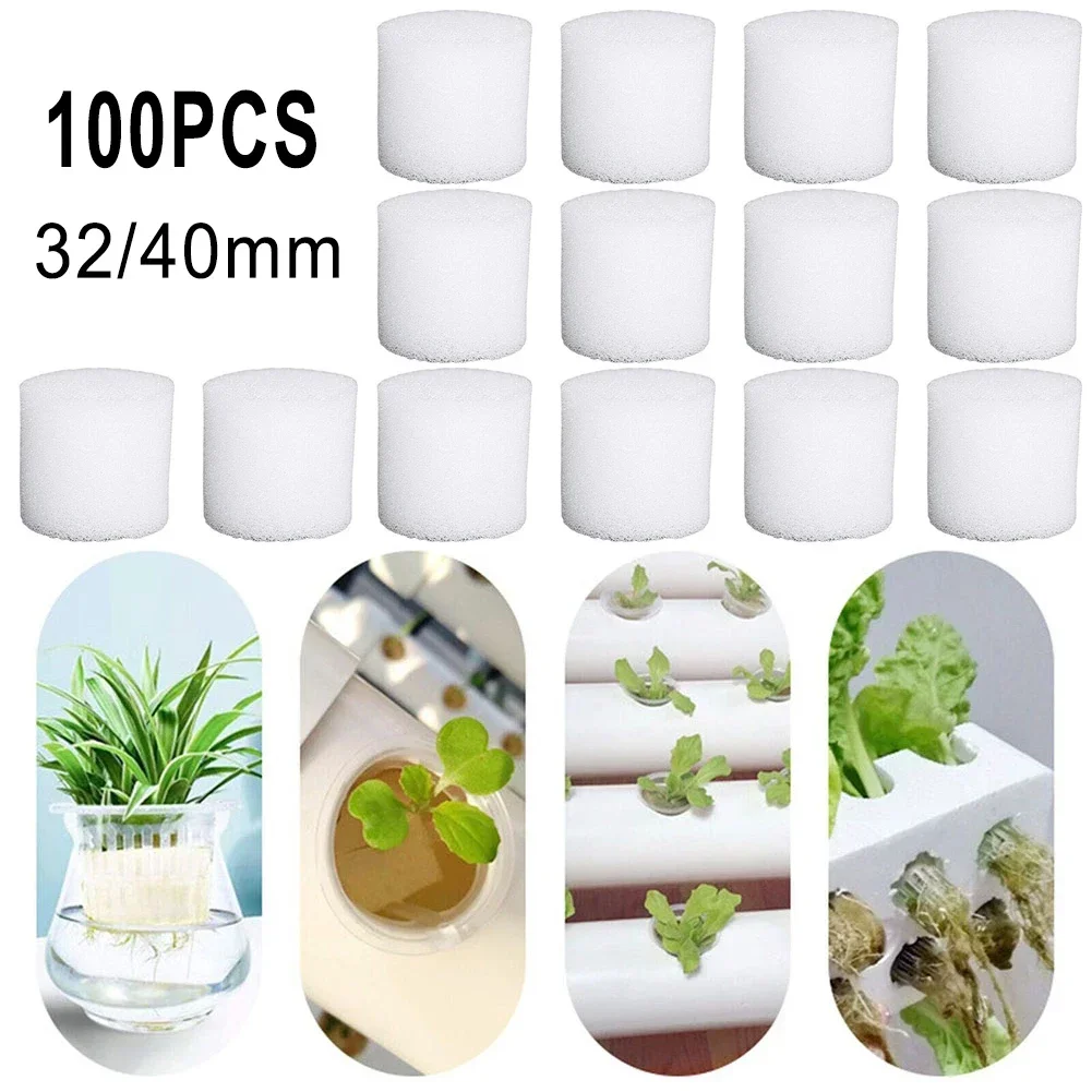100PCS Soilless Hydroponic Spo - Hydroponic Grow Pod review and price