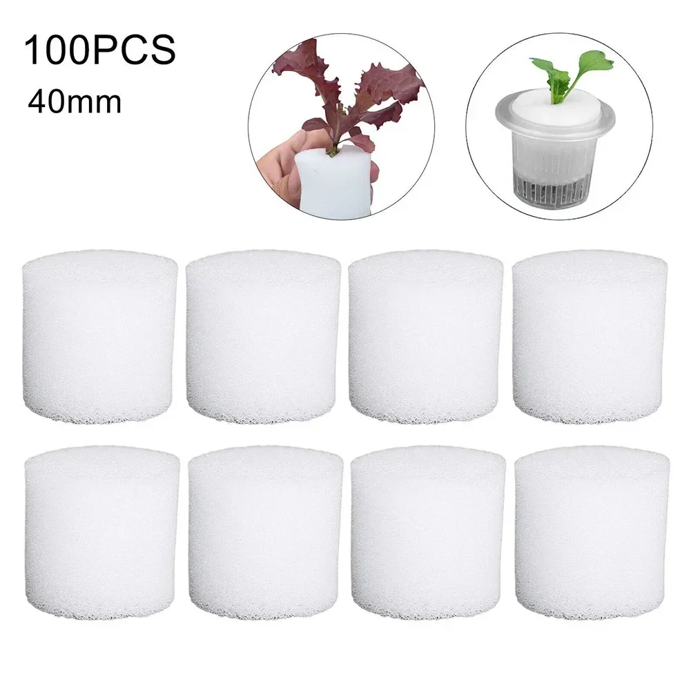 100PCS Soilless Hydroponic Spo - Hydroponic Grow Pod review and price