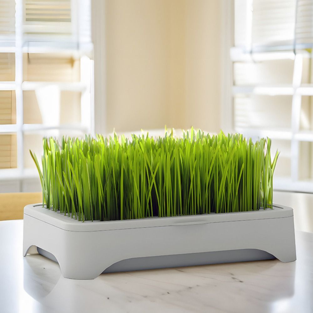 Plastic Hydroponic Seeding Tra - Hydroponic Grow Pod review and price
