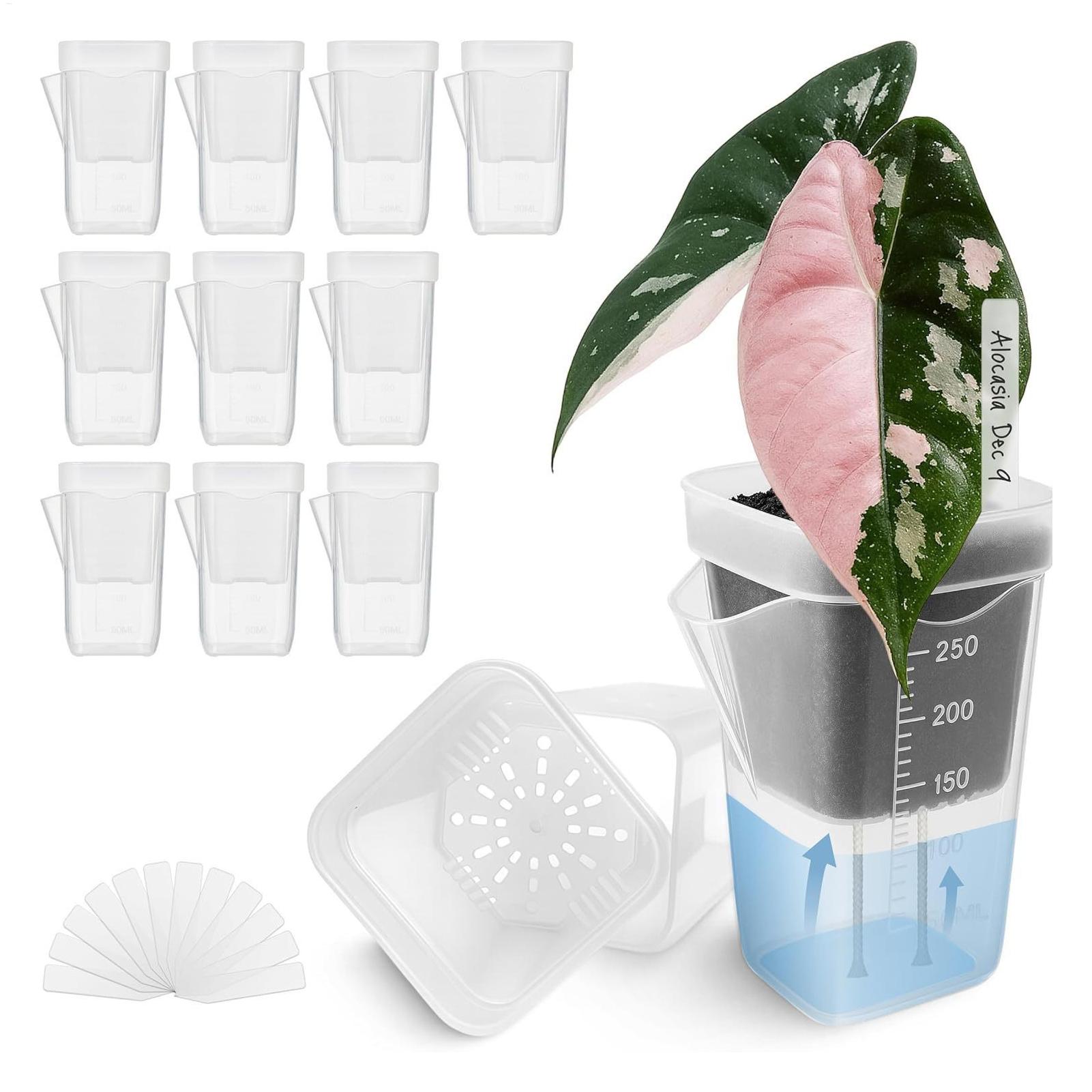 10 Pieces Indoor Plant Pot Tra - Hydroponic Grow Pod review and price