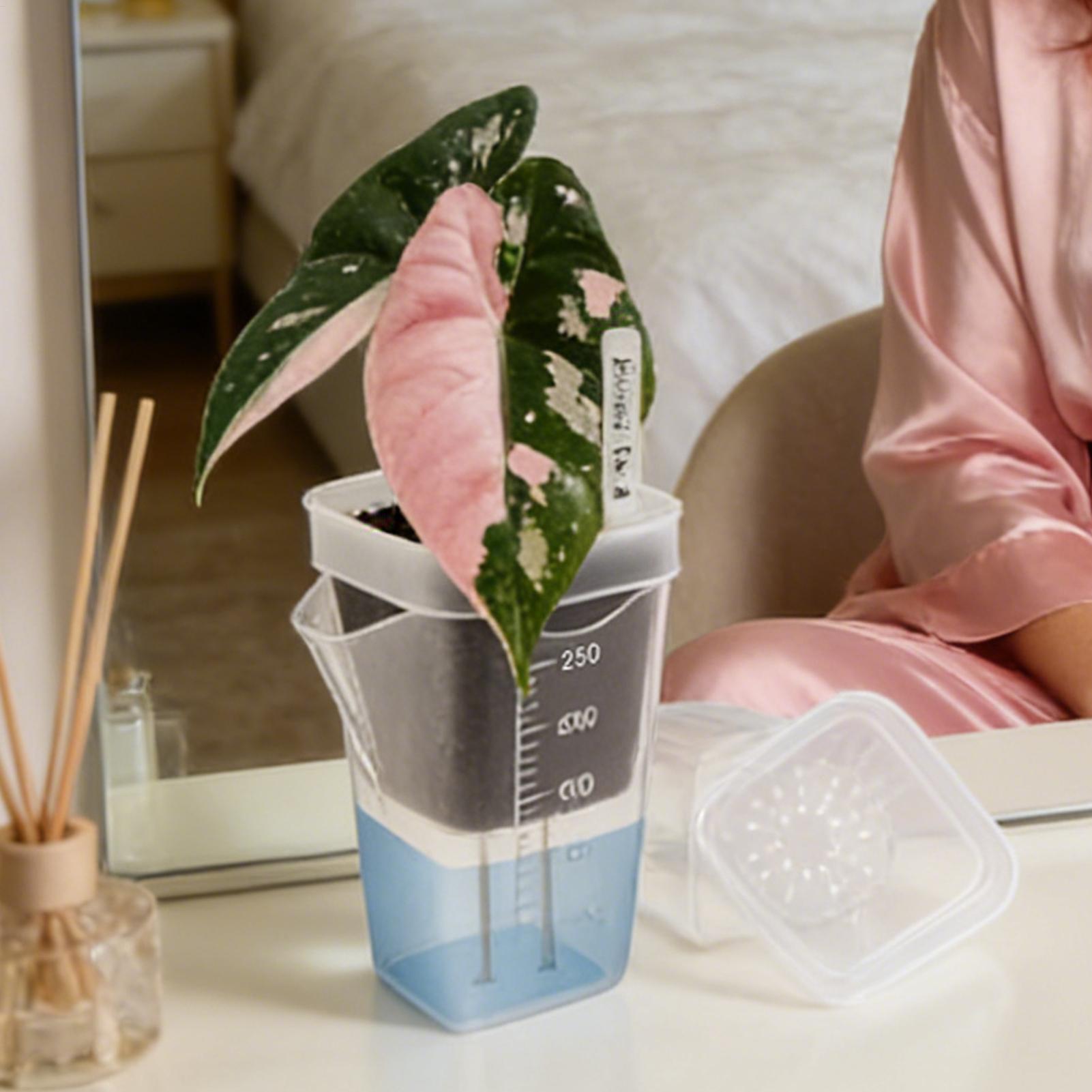 10 Pieces Indoor Plant Pot Tra - Hydroponic Grow Pod review and price