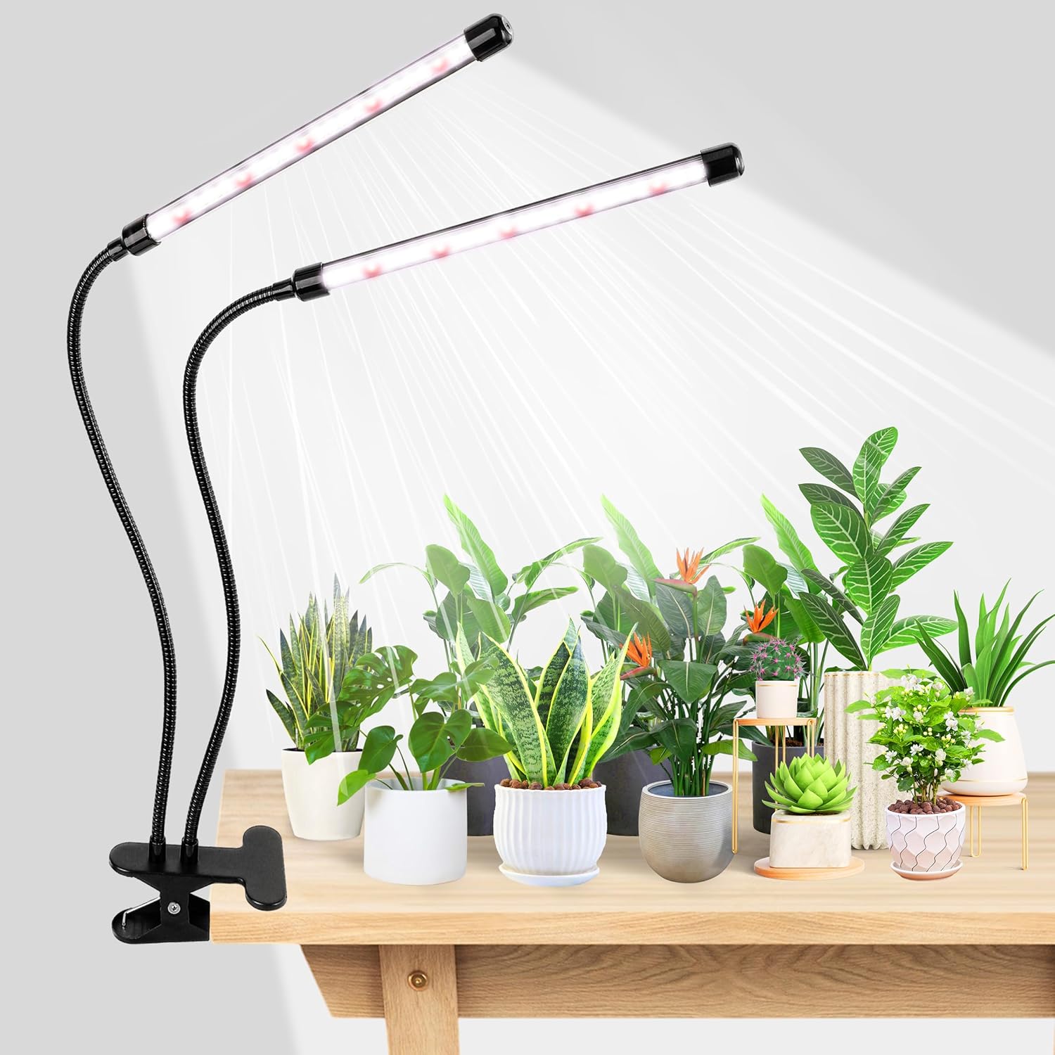 KEBINCPLED USB 5V Clip Plant G - Hydroponic Grow Pod review and price