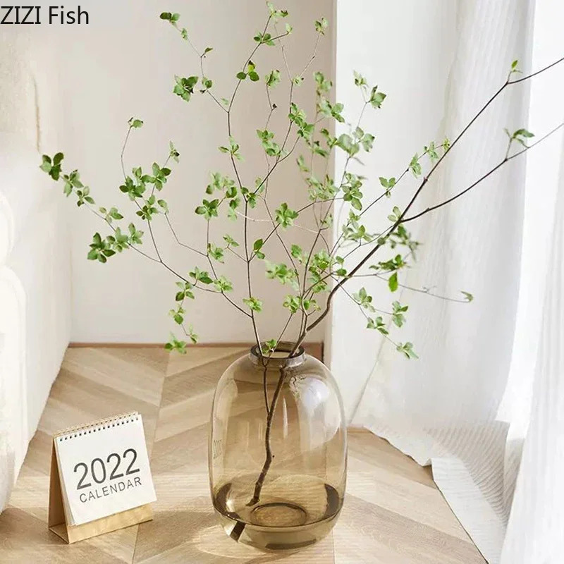 Transparent Glass Vase, Office - Hydroponic Grow Pod review and price