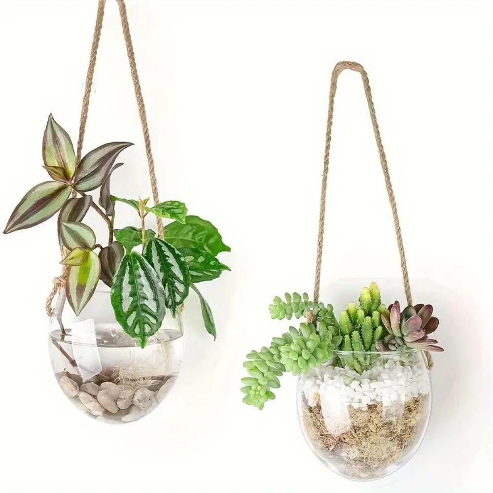 Transparent Hydroponic Hanging - Hydroponic Grow Pod review and price