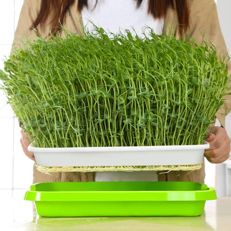 Microgreens Sprout Tray Germin - Hydroponic Grow Pod review and price