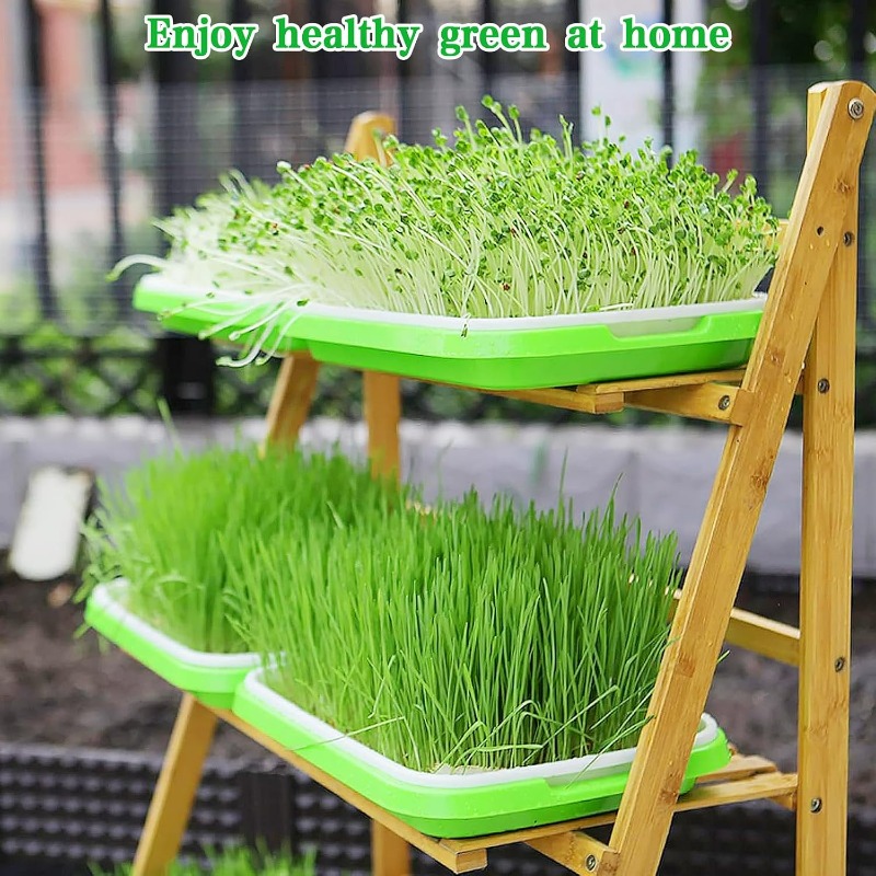 Microgreens Sprout Tray Germin - Hydroponic Grow Pod review and price