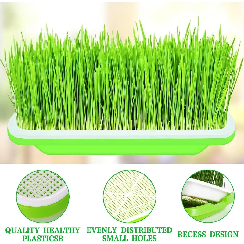 Microgreens Sprout Tray Germin - Hydroponic Grow Pod review and price