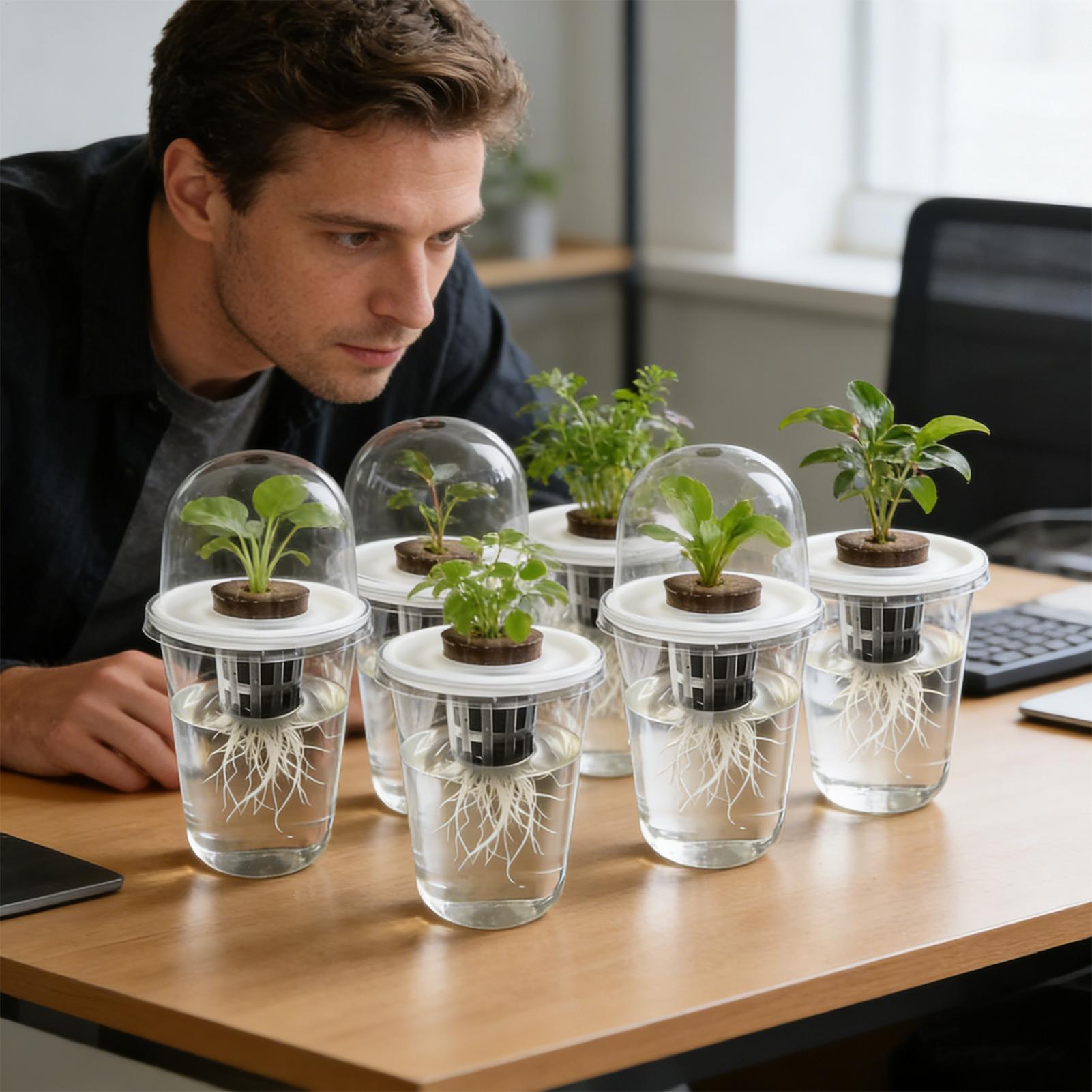 1-5pc Visible Clear Plants Ger - Hydroponic Grow Pod review and price