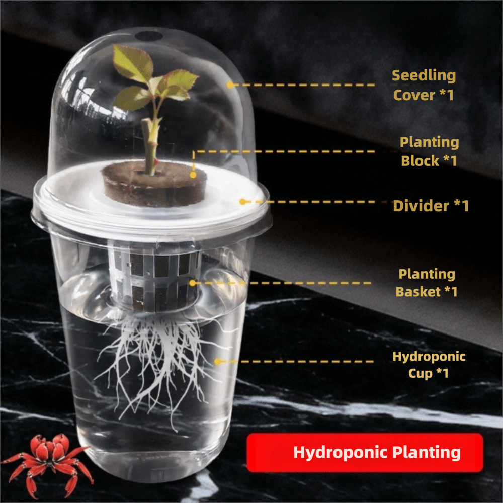 1-5pc Visible Clear Plants Ger - Hydroponic Grow Pod review and price