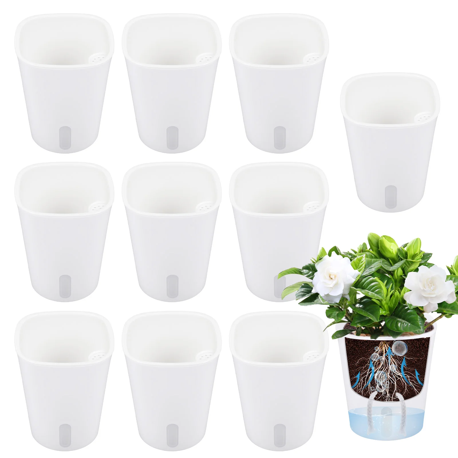 10 Pcs Self Watering Planter L - Hydroponic Grow Pod review and price