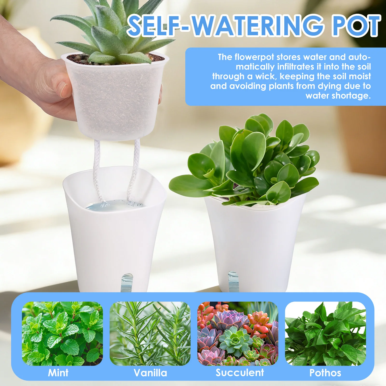 10 Pcs Self Watering Planter L - Hydroponic Grow Pod review and price