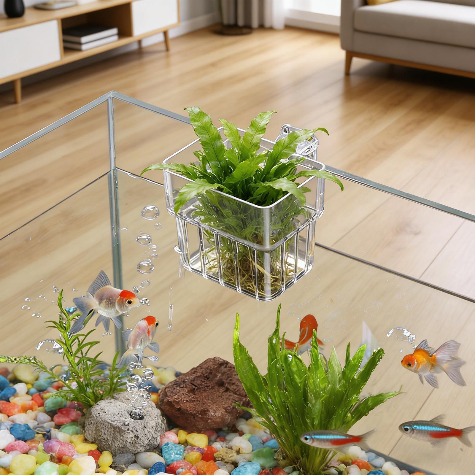 Aquarium Transparent Hanger Po - Hydroponic Grow Pod review and price