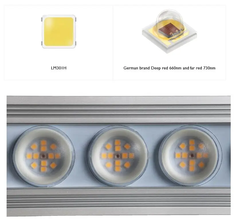 Koray 900W Indoor full spectru - Led Plant Light Strip review and price