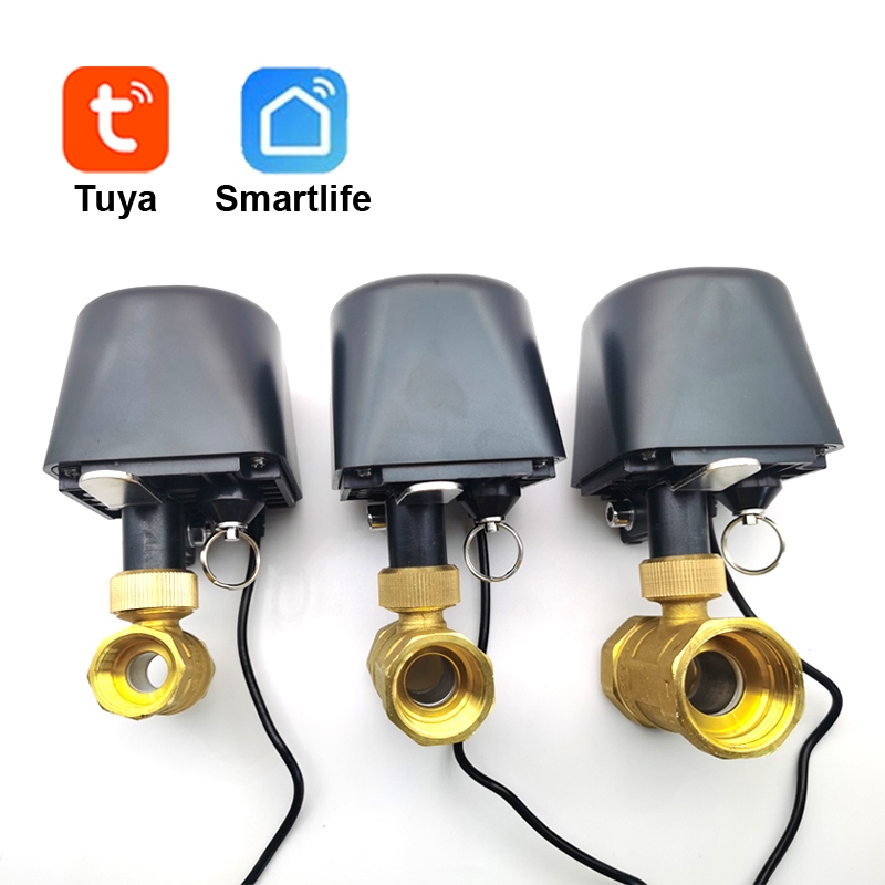 Tuya WiFi or Zigbee Water Valv - Smart Garden Water Timer review and price